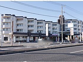 栃木県塩谷郡高根沢町光陽台1丁目（賃貸マンション2LDK・4階・72.87㎡） その1