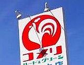 コメリパワー鹿沼店 810m