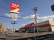 ツルハドラッグ宇都宮戸祭店 259m