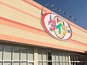 ダイソーセイムスみどり野店 1248m