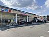 周辺：よどやドラッグ高知福井店（178m）
