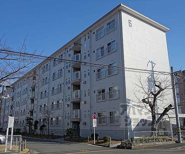 京都府長岡京市八条ヶ丘2丁目(賃貸マンション3LDK・1階・68.00㎡)の写真 その3