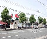 スギ薬局 山科椥辻店まで119m