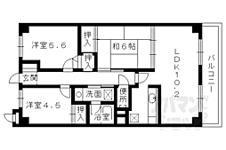 レジデンス碩 3LDKの間取図画像