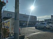 FRESCO（フレスコ） 立花店（317m）