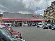 FLET’S 立花店（452m）