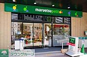 マルエツプチ新川一丁目店 200m