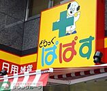 どらっぐぱぱす小石川1丁目店 徒歩6分。ドラックストア 430m