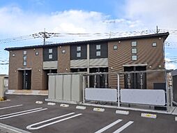 モダン・プリムローズ