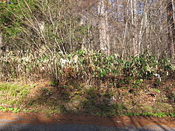 物件画像 定住可能地域、除雪あり