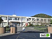 小学校「鳴門市立桑島小学校まで1051m」鳴門市立桑島小学校