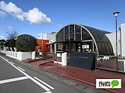 幼稚園、保育園「鳴門市立精華幼稚園まで561m」