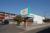ドラッグイレブン 上大利店（538m）