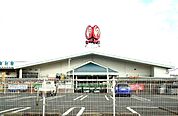 その他「コメリハード＆グリーン横田店まで1600m」