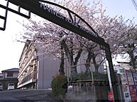京都府京都市西京区嵐山樋ノ上町：物件画像／株式会社エリッツ　西京極店