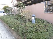植栽
