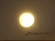 照明