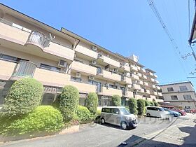 京都府京都市左京区一乗寺払殿町（賃貸マンション3LDK・3階・53.00㎡） その1