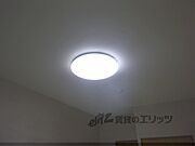 照明
