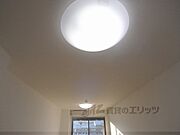 照明