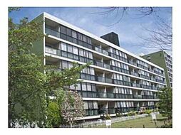 阪急嵐山線 松尾大社駅 徒歩8分の賃貸マンション