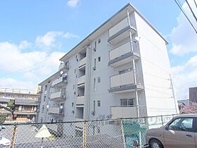 京都府京都市伏見区桃山町立売（賃貸マンション2LDK・4階・51.00㎡） その1