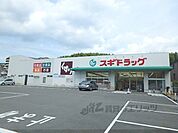 スギドラッグ　醍醐店まで800メートル
