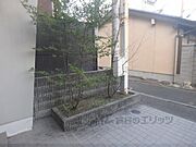 植栽