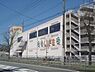 周辺：ライフ　太秦店まで290メートル