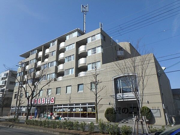 レヴィア北白川 408｜京都府京都市左京区北白川山田町(賃貸マンション2LDK・4階・61.35㎡)の写真 その11