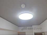 照明