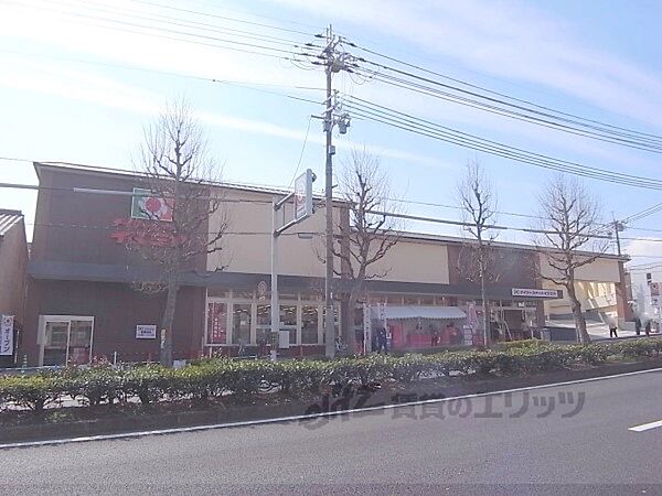 イズミヤ　千本北大路店まで400メートル