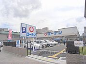 コーナン　かどの四条外大前店まで200メートル