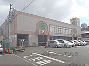 ライフ　西京極店まで750メートル