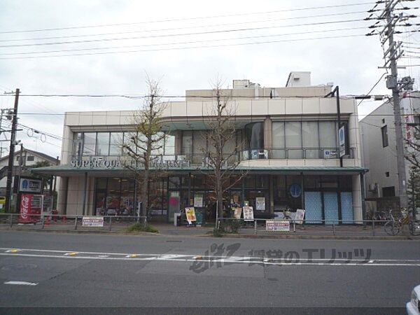 いかりライクス　常盤店まで600メートル