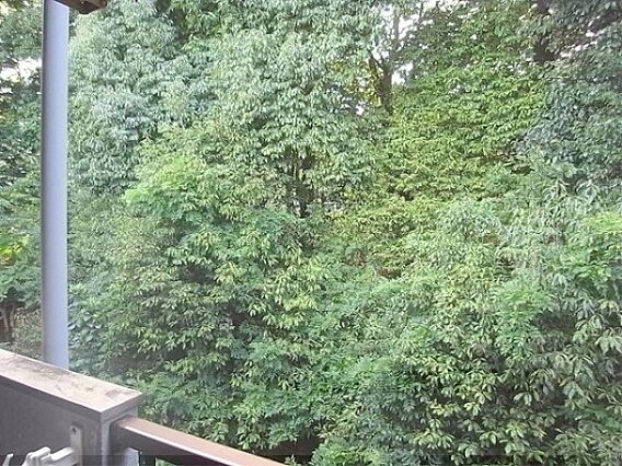 グランタック竜安寺_その他_2