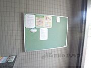 掲示板