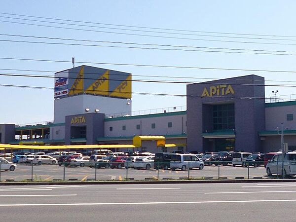 画像10:アピタ新潟西店(1、050m)