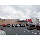 ドラックストア「クスリのアオキ三輪店まで504ｍ」