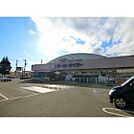 ホームセンター「ケーヨーデイツー北長野通店まで1279ｍ」