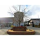 中学校「私立長野日本大学中学校まで1246ｍ」