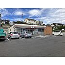 コンビニ「セブンイレブン長野三才店まで397ｍ」