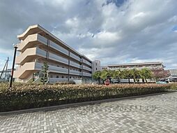 JR東海道・山陽本線 南彦根駅 徒歩9分の賃貸マンション