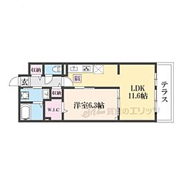 ラクーン守山 1階1LDKの間取り