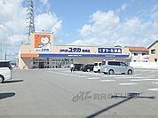 ドラッグユタカ野洲店まで100メートル