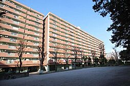 物件画像 #空室　高島平第三住宅　3号棟