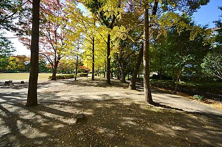 館近隣公園 徒歩16分。 1240m