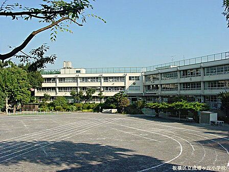 板橋区立成増ケ丘小学校 徒歩7分。 530m
