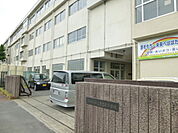 小学校「小田原市立東富水小学校まで919m」