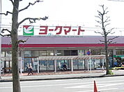 その他「ヨークマート鴨宮店まで526m」
